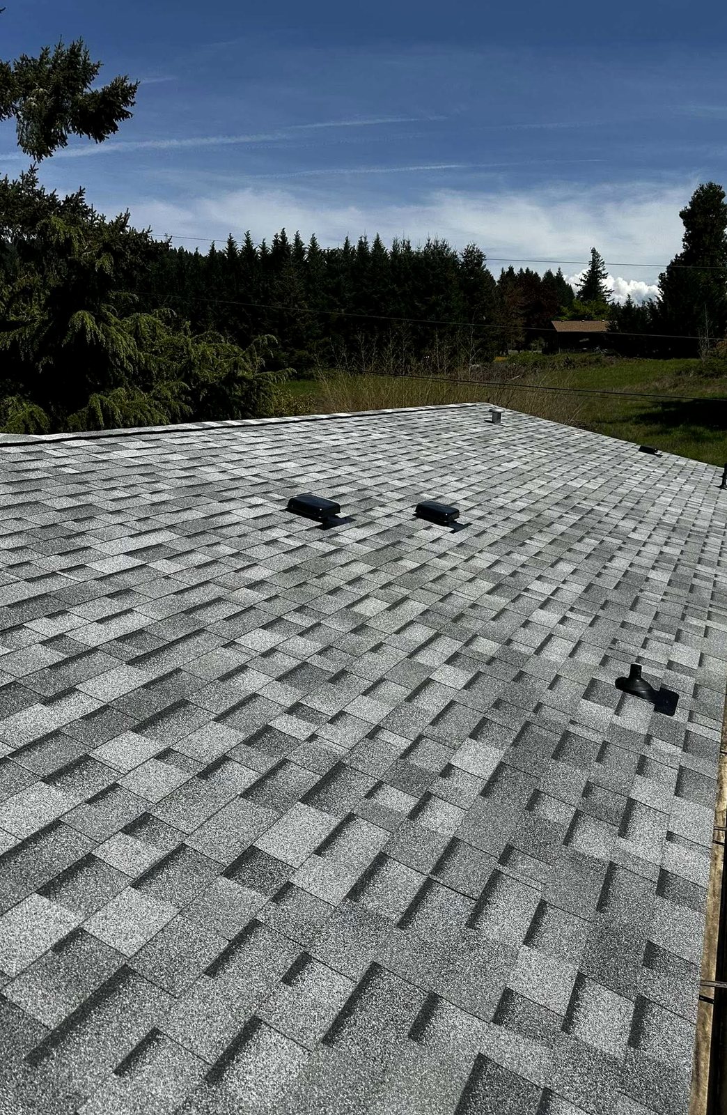 A wide view of a completed architectural shingle roof with box vents by Pacific Peaks Roofing, backed by fir trees and open Oregon countryside