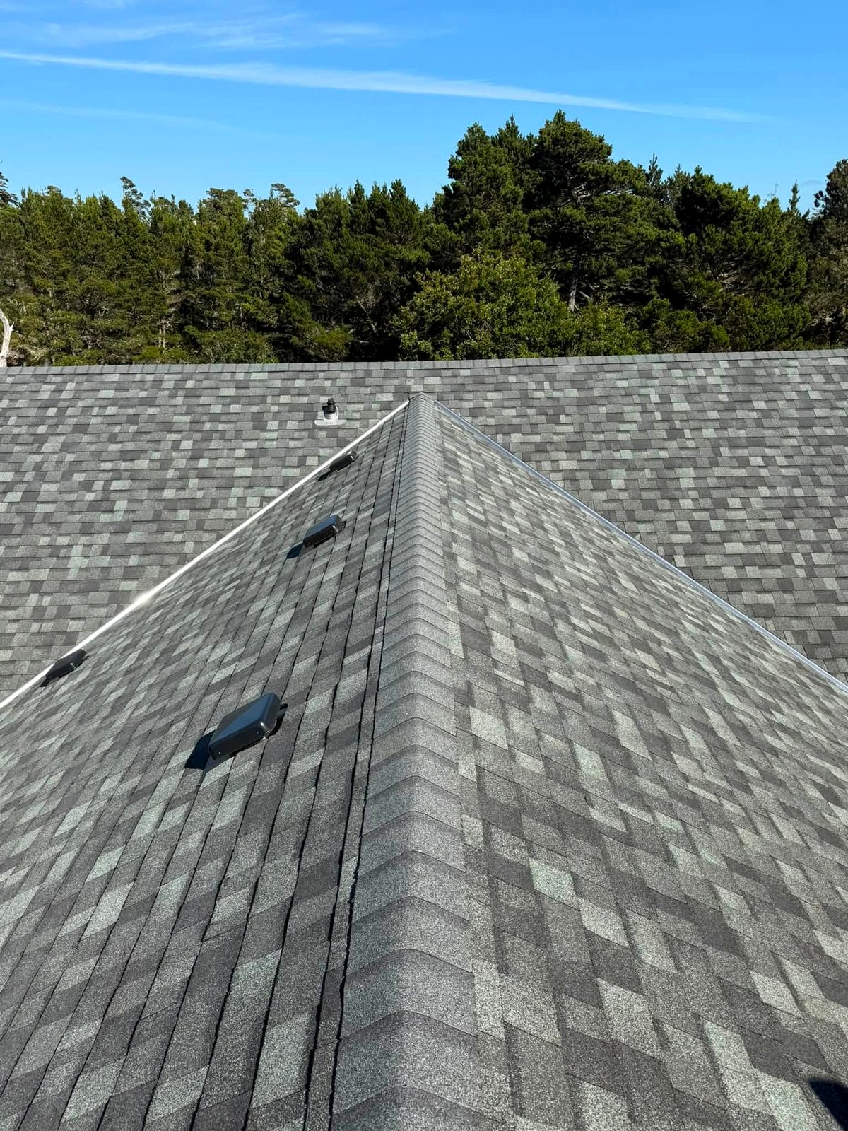 A finished architectural shingle roof by Pacific Peaks Roofing with a clean ridge line and box vents, framed by coastal firs
